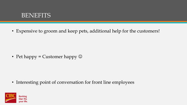 CONSULTING ADVICE CIBC CUSTOMER SERVICE STRATEGY