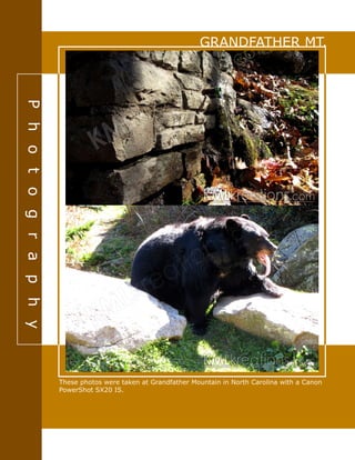 GRANDFATHER MT.
These photos were taken at Grandfather Mountain in North Carolina with a Canon
PowerShot SX20 IS.
Photography
 