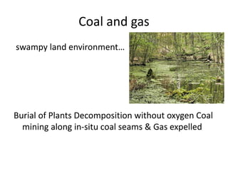 Coal and gas
swampy land environment…
Burial of Plants Decomposition without oxygen Coal
mining along in-situ coal seams & Gas expelled
 