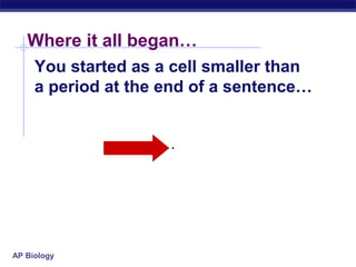 Where it all began…
     You started as a cell smaller than
     a period at the end of a sentence…




AP Biology
 