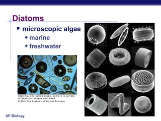 Diatoms
     microscopic algae
          marine
          freshwater




AP Biology
 