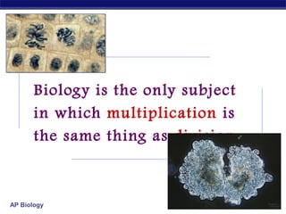Biology is the only subject
in which multiplication is
the same thing as division…

AP Biology

2007-2008

 