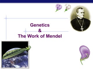 Genetics
                     &
             The Work of Mendel




AP Biology
 