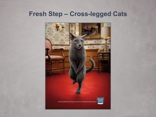 Fresh Step –Cross-legged Cats  