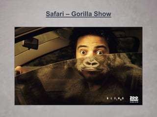 Safari –Gorilla Show  