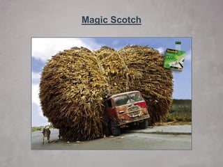 Magic Scotch  