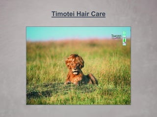 TimoteiHair Care  