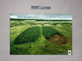 WWF Lungs  