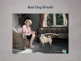 Bad Dog Breath  