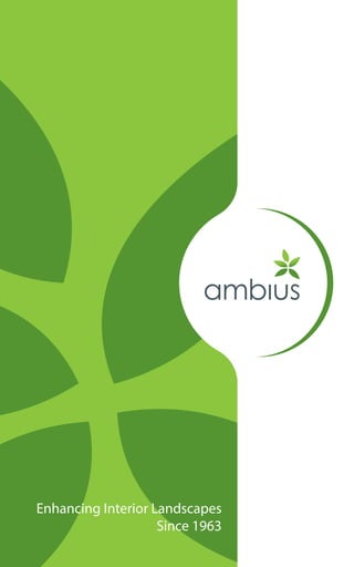 www.ambius.com • 800.581.9946
MKT-CAP-BRO 1/14
Enhancing Interior Landscapes
Since 1963
 