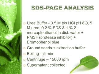  Urea Buffer - 0.5 M tris HCl pH 8.0, 5
M urea, 0.2 % SDS & 1 % 2-
mercaptoethanol in dist. water +
PMSF (protease inhibitor) +
Bromophenol blue
 Ground seeds + extraction buffer
 Boiling – 5 min
 Centrifuge – 15000 rpm
 Supernatant collected
 