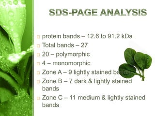  protein bands – 12.6 to 91.2 kDa
 Total bands – 27
 20 – polymorphic
 4 – monomorphic
 Zone A – 9 lightly stained bands
 Zone B – 7 dark & lightly stained
bands
 Zone C – 11 medium & lightly stained
bands
 