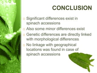 CONCLUSION
 Significant differences exist in
spinach accessions
 Also some minor differences exist
 Genetic differences are directly linked
with morphological differences
 No linkage with geographical
locations was found in case of
spinach accessions
 