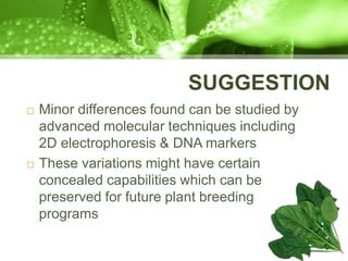 SUGGESTION
 Minor differences found can be studied by
advanced molecular techniques including
2D electrophoresis & DNA markers
 These variations might have certain
concealed capabilities which can be
preserved for future plant breeding
programs
 