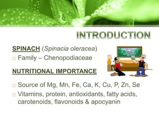 SPINACH (Spinacia oleracea)
 Family – Chenopodiaceae
NUTRITIONAL IMPORTANCE
 Source of Mg, Mn, Fe, Ca, K, Cu, P, Zn, Se
 Vitamins, protein, antioxidants, fatty acids,
carotenoids, flavonoids & apocyanin
 