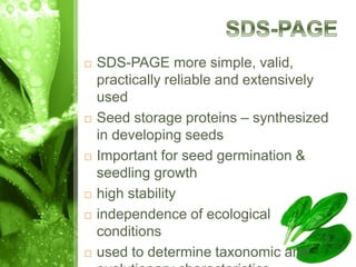  SDS-PAGE more simple, valid,
practically reliable and extensively
used
 Seed storage proteins – synthesized
in developing seeds
 Important for seed germination &
seedling growth
 high stability
 independence of ecological
conditions
 used to determine taxonomic and
 