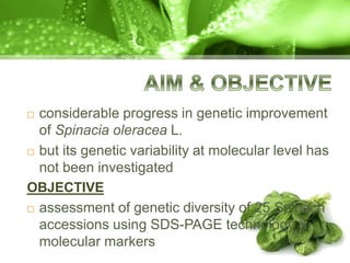  considerable progress in genetic improvement
of Spinacia oleracea L.
 but its genetic variability at molecular level has
not been investigated
OBJECTIVE
 assessment of genetic diversity of 25 Spinach
accessions using SDS-PAGE technology &
molecular markers
 