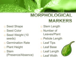  Seed Shape
 Seed Color
 Seed Weight (10
seeds)
 Germination Rate
 Plant Height
 Stem
(Presence/Absence)
 Stem Length
 Number of
Leaves/Plant
 Petiole Length
 Leaf Tips
 Leaf Base
 Leaf Length
 Leaf Width
 