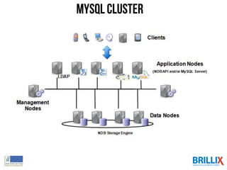 MySQL Cluster
 