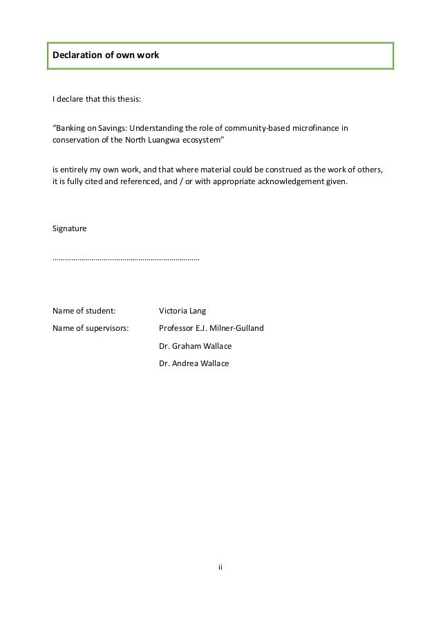 Master thesis microfinance