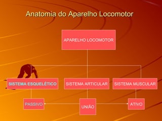 Anatomia do Aparelho LocomotorAnatomia do Aparelho Locomotor
APARELHO LOCOMOTOR
SISTEMA ESQUELÉTICO SISTEMA ARTICULAR SISTEMA MUSCULAR
PASSIVO
UNIÃO
ATIVO
 