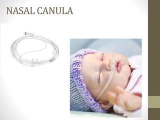 NASAL CANULA
 