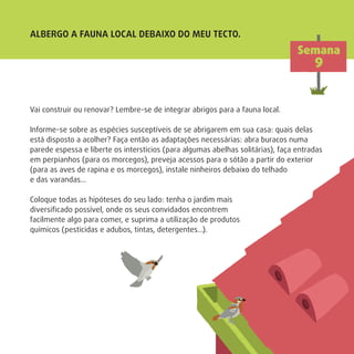ALBERGO A FAUNA LOCAL DEBAIXO DO MEU TECTO.
Vai construir ou renovar? Lembre-se de integrar abrigos para a fauna local.
Informe-se sobre as espécies susceptíveis de se abrigarem em sua casa: quais delas
está disposto a acolher? Faça então as adaptações necessárias: abra buracos numa
parede espessa e liberte os interstícios (para algumas abelhas solitárias), faça entradas
em perpianhos (para os morcegos), preveja acessos para o sótão a partir do exterior
(para as aves de rapina e os morcegos), instale ninheiros debaixo do telhado
e das varandas…
Coloque todas as hipóteses do seu lado: tenha o jardim mais
diversiﬁcado possível, onde os seus convidados encontrem
facilmente algo para comer, e suprima a utilização de produtos
químicos (pesticidas e adubos, tintas, detergentes…).
Semana
9
 