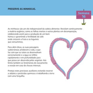 As minhocas são um elo indispensável da cadeia alimentar. Reciclam continuamente
a matéria orgânica, como as folhas mortas e outras plantas em decomposição,
colaborando assim para a produção de um bom
húmus e garantindo a fertilidade do solo
onde crescem a fruta e os legumes
que consumimos.
Para além disso, as suas passagens
subterrâneas amolecem o solo, o que
faz com que as raízes se desenvolvam
correctamente e a água se inﬁltre
rapidamente e em profundidade para
que possa ser absorvida pelos vegetais. Isto
limita também os fenómenos de escoamento
e erosão em caso de chuvas intensas.
Proteja estes preciosos auxiliares evitando recorrer
a adubos e pesticidas químicos e trabalhando a terra
com uma forquilha.
Semana
16
PRESERVO AS MINHOCAS.
 