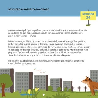 Ao contrário daquilo que se poderia pensar, a biodiversidade é por vezes muito maior
nas cidades do que nas zonas rurais onde, tanto nos campos como nas ﬂorestas,
predominam as monoculturas.
Estranhamente, os biótopos podem ser muito variados nas cidades: jardins públicos,
jardins privados, lagoas, parques, ﬂorestas, ruas e avenidas arborizadas, terrenos
baldios, pousios, imediações de caminhos-de-ferro, margens de riachos… sem esquecer
os telhados verdes e os terraços, fachadas e varandas com ﬂores. Até mesmo as mais
pequenas ﬁssuras ao longo dos passeios, na base dos edifícios ou nas paredes
são colonizadas por uma grande diversidade de plantas selvagens!
No entanto, esta biodiversidade é vulnerável: não consegue resistir às betoneiras
e aos cilindros compressores…
DESCUBRO A NATUREZA NA CIDADE.
Semana
24
 
