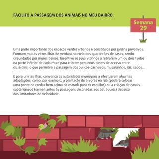 Uma parte importante dos espaços verdes urbanos é constituída por jardins privativos.
Formam muitas vezes ilhas de verdura no meio dos quarteirões de casas, sendo
circundados por muros baixos. Incentive os seus vizinhos a retirarem um ou dois tijolos
na parte inferior de cada muro para criarem pequenos túneis de acesso entre
os jardins, o que permitirá a passagem dos ouriços-cacheiros, musaranhos, rãs, sapos…
E para unir as ilhas, convença as autoridades municipais a efectuarem algumas
adaptações, como, por exemplo, a plantação de árvores na rua (poderá colocar
uma ponte de cordas bem acima da estrada para os esquilos) ou a criação de canais
subterrâneos (semelhantes às passagens destinadas aos batráquios) debaixo
dos limitadores de velocidade.
FACILITO A PASSAGEM DOS ANIMAIS NO MEU BAIRRO.
Semana
29
 