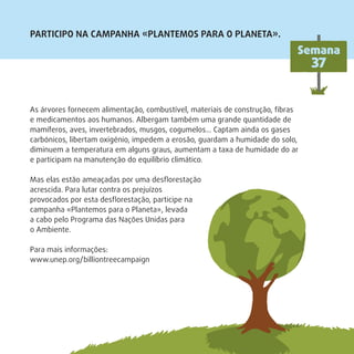 PARTICIPO NA CAMPANHA «PLANTEMOS PARA O PLANETA».
Semana
37
As árvores fornecem alimentação, combustível, materiais de construção, ﬁbras
e medicamentos aos humanos. Albergam também uma grande quantidade de
mamíferos, aves, invertebrados, musgos, cogumelos… Captam ainda os gases
carbónicos, libertam oxigénio, impedem a erosão, guardam a humidade do solo,
diminuem a temperatura em alguns graus, aumentam a taxa de humidade do ar
e participam na manutenção do equilíbrio climático.
Mas elas estão ameaçadas por uma desﬂorestação
acrescida. Para lutar contra os prejuízos
provocados por esta desﬂorestação, participe na
campanha «Plantemos para o Planeta», levada
a cabo pelo Programa das Nações Unidas para
o Ambiente.
Para mais informações:
www.unep.org/billiontreecampaign
 
