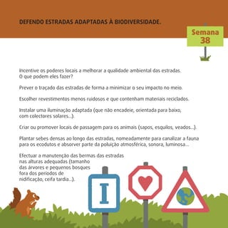DEFENDO ESTRADAS ADAPTADAS À BIODIVERSIDADE.
Semana
38
Incentive os poderes locais a melhorar a qualidade ambiental das estradas.
O que podem eles fazer?
Prever o traçado das estradas de forma a minimizar o seu impacto no meio.
Escolher revestimentos menos ruidosos e que contenham materiais reciclados.
Instalar uma iluminação adaptada (que não encadeie, orientada para baixo,
com colectores solares…).
Criar ou promover locais de passagem para os animais (sapos, esquilos, veados…).
Plantar sebes densas ao longo das estradas, nomeadamente para canalizar a fauna
para os ecodutos e absorver parte da poluição atmosférica, sonora, luminosa…
Efectuar a manutenção das bermas das estradas
nas alturas adequadas (tamanho
das árvores e pequenos bosques
fora dos períodos de
nidiﬁcação, ceifa tardia…).
 
