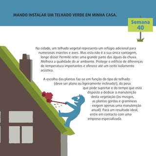 MANDO INSTALAR UM TELHADO VERDE EM MINHA CASA.
Semana
40
Na cidade, um telhado vegetal representa um refúgio adicional para
numerosos insectos e aves. Mas esta não é a sua única vantagem,
longe disso! Permite reter uma grande parte das águas da chuva.
Melhora a qualidade do ar ambiente. Protege o edifício de diferenças
de temperatura importantes e oferece até um certo isolamento
acústico.
A escolha das plantas faz-se em função do tipo de telhado
(deve ser plano ou ligeiramente inclinado!), do peso
que pode suportar e do tempo que está
disposto a dedicar à manutenção
desta vegetação (os musgos,
as plantas gordas e gramíneas
exigem apenas uma manutenção
anual). Para um resultado ideal,
entre em contacto com uma
empresa especializada.
 