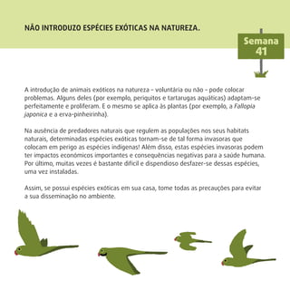 A introdução de animais exóticos na natureza – voluntária ou não – pode colocar
problemas. Alguns deles (por exemplo, periquitos e tartarugas aquáticas) adaptam-se
perfeitamente e proliferam. E o mesmo se aplica às plantas (por exemplo, a Fallopia
japonica e a erva-pinheirinha).
Na ausência de predadores naturais que regulem as populações nos seus habitats
naturais, determinadas espécies exóticas tornam-se de tal forma invasoras que
colocam em perigo as espécies indígenas! Além disso, estas espécies invasoras podem
ter impactos económicos importantes e consequências negativas para a saúde humana.
Por último, muitas vezes é bastante difícil e dispendioso desfazer-se dessas espécies,
uma vez instaladas.
Assim, se possui espécies exóticas em sua casa, tome todas as precauções para evitar
a sua disseminação no ambiente.
NÃO INTRODUZO ESPÉCIES EXÓTICAS NA NATUREZA.
Semana
41
 