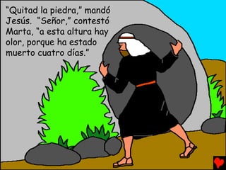 “Quitad la piedra,” mandó
Jesús. “Señor,” contestó
Marta, “a esta altura hay
olor, porque ha estado
muerto cuatro días.”
 