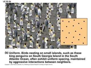 LE 52-3b
Uniform. Birds nesting on small islands, such as these
king penguins on South Georgia Island in the South
Atlantic Ocean, often exhibit uniform spacing, maintained
by aggressive interactions between neighbors.
 