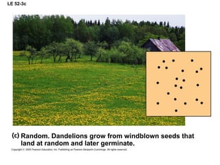 LE 52-3c
Random. Dandelions grow from windblown seeds that
land at random and later germinate.
 