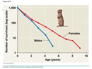 Copyright © 2005 Pearson Education, Inc. publishing as Benjamin Cummings
Figure 53.5
Males
Females
1,000
100
10
1
Age (years)
Numberofsurvivors(logscale)
0 2 4 6 8 10
 