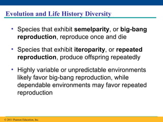 Copyright © 2005 Pearson Education, Inc. publishing as Benjamin Cummings
Evolution and Life History Diversity
• Species that exhibit semelparity, or big-bang
reproduction, reproduce once and die
• Species that exhibit iteroparity, or repeated
reproduction, produce offspring repeatedly
• Highly variable or unpredictable environments
likely favor big-bang reproduction, while
dependable environments may favor repeated
reproduction
© 2011 Pearson Education, Inc.
 