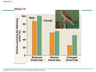 Copyright © 2005 Pearson Education, Inc. publishing as Benjamin Cummings
Figure 53.13
Male
Female
RESULTS
Reduced
brood size
Normal
brood size
Enlarged
brood size
Parentssurvivingthefollowing
winter(%)
100
80
60
40
20
0
 