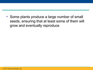 Copyright © 2005 Pearson Education, Inc. publishing as Benjamin Cummings
• Some plants produce a large number of small
seeds, ensuring that at least some of them will
grow and eventually reproduce
© 2011 Pearson Education, Inc.
 