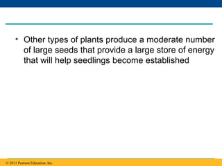Copyright © 2005 Pearson Education, Inc. publishing as Benjamin Cummings
• Other types of plants produce a moderate number
of large seeds that provide a large store of energy
that will help seedlings become established
© 2011 Pearson Education, Inc.
 