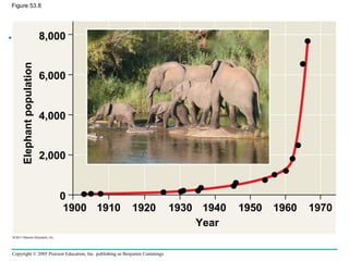 Copyright © 2005 Pearson Education, Inc. publishing as Benjamin Cummings
Figure 53.8
Year
Elephantpopulation
8,000
6,000
4,000
2,000
0
1900 1910 1920 1930 1940 1950 1960 1970
 