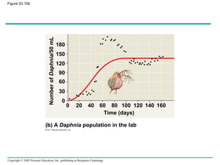 Copyright © 2005 Pearson Education, Inc. publishing as Benjamin Cummings
Figure 53.10b
Time (days)
(b) A Daphnia population in the lab
NumberofDaphnia/50mL
200 16040 60 80 100 120 140
180
150
120
90
60
30
0
 