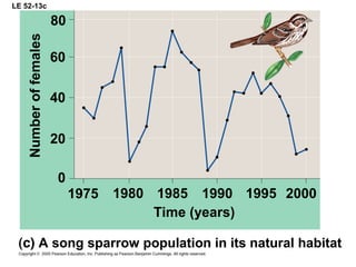 LE 52-13c
Time (years)
Numberoffemales
80
1975 1980
40
1985
0
1990
60
A song sparrow population in its natural habitat
20
1995 2000
 