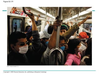 Copyright © 2005 Pearson Education, Inc. publishing as Benjamin Cummings
Figure 53.17f
 