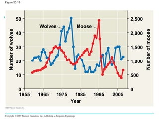 Copyright © 2005 Pearson Education, Inc. publishing as Benjamin Cummings
Wolves Moose
Year
Numberofwolves
Numberofmoose
1955 1965 1975 1985 1995 2005
50
40
30
20
10
0
2,500
2,000
1,500
1,000
500
0
Figure 53.18
 