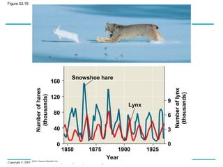 Copyright © 2005 Pearson Education, Inc. publishing as Benjamin Cummings
Snowshoe hare
Lynx
Year
1850 1875 1900 1925
Numberofhares
(thousands)
Numberoflynx
(thousands)
160
120
80
40
0
9
6
3
0
Figure 53.19
 