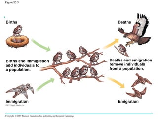 Copyright © 2005 Pearson Education, Inc. publishing as Benjamin Cummings
Figure 53.3
Births Deaths
Immigration Emigration
Births and immigration
add individuals to
a population.
Deaths and emigration
remove individuals
from a population.
 