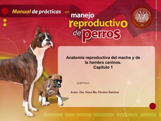 Autor: Dra. Rosa Ma. Páramo Ramírez
SUBTITULO
Anatomía reproductiva del macho y de
la hembra caninos.
Capítulo 1
 